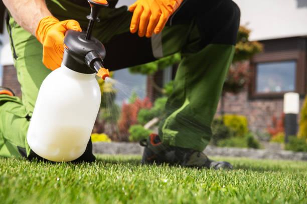 Best Pest Control Near Me in Scaggsville, MD
