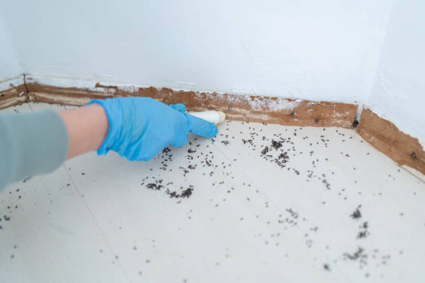 Best Pest Removal Services  in Scaggsville, MD