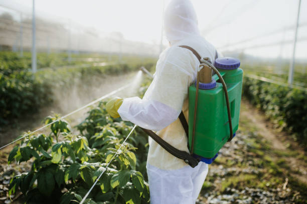 Best Emergency Pest Control  in Scaggsville, MD